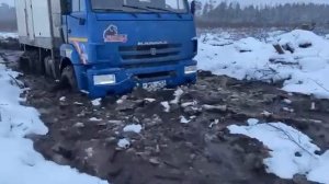 Гусеницы на КамАЗ 4310-43118 / MOTUX