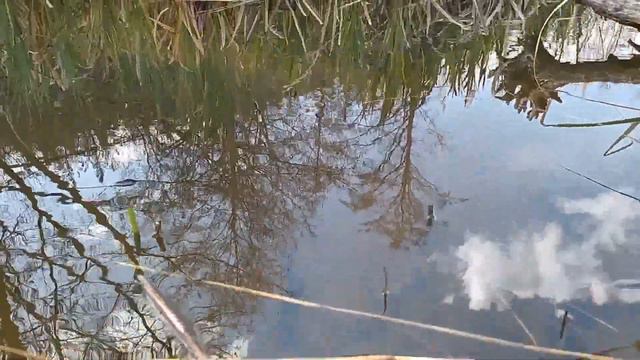 Речка Бабочка смотреть онлайн