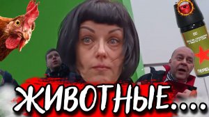 СтопХам-Семейка буйных угощается перцем (●'◡'●)