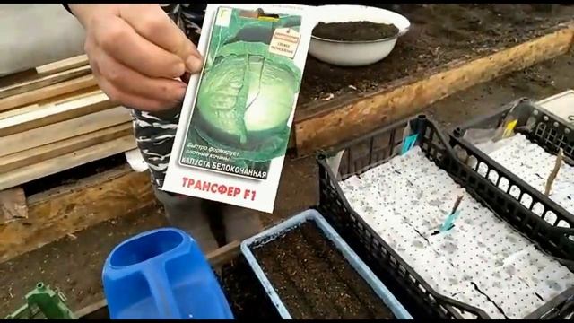 Готовлю супер- землю.Сажаю лук и капусту на рассаду, разбираем теплицу. смотреть онлайн