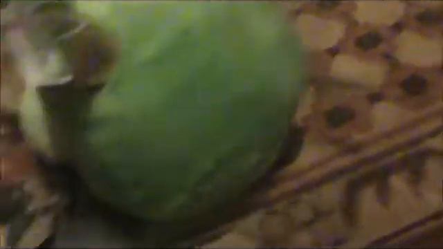 postman pig смотреть онлайн