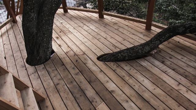Absolutely Gorgeous The Quercus Treefort-icus House | Viet Anh Design Home смотреть онлайн