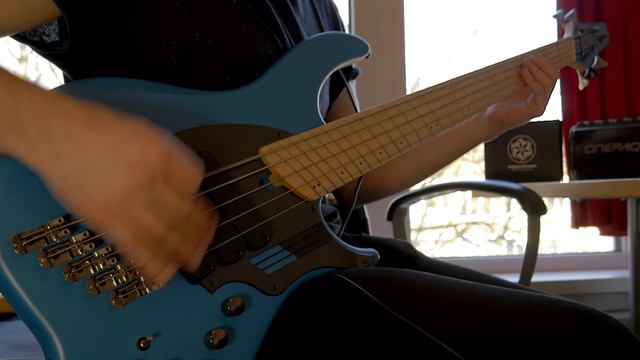 DEAR MOTHER // Symbiose // Bass Playthrough смотреть онлайн