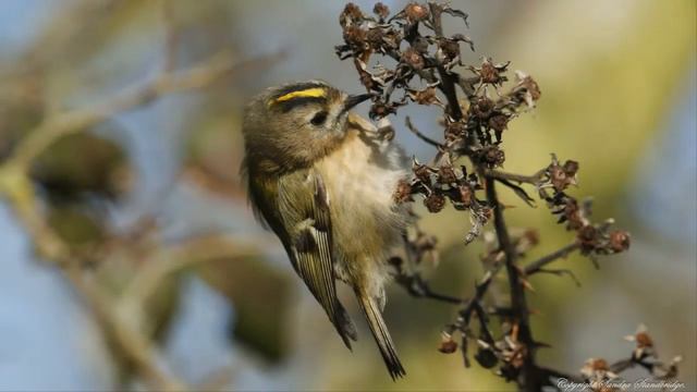 ПОЗИТИВ  ВЕЗДЕ ДЛЯ НАСТРОЕНИЯ
