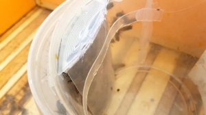 Кормушка для пчел из пластиковых ведерок.