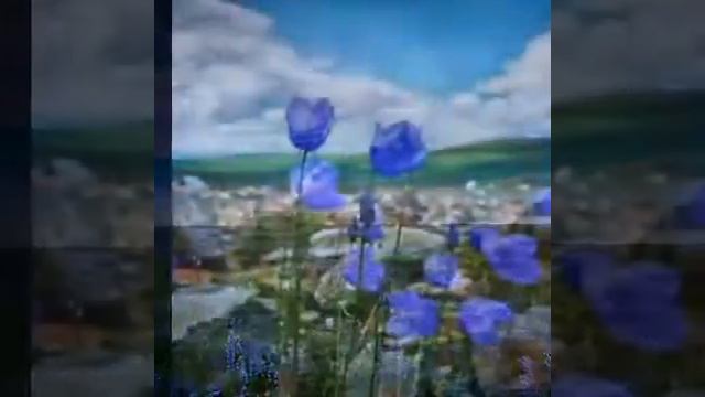 Музыка и слова Шри Чинмоя - Silence and Sound. смотреть онлайн