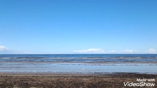 Сегодняшний день смотреть онлайн