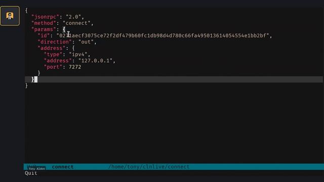 Subscribe to lightningd notification topics with a Python plugin | LNROOM #15 смотреть онлайн