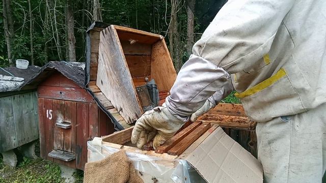 Пересадка роев с маршрута 2 смотреть онлайн