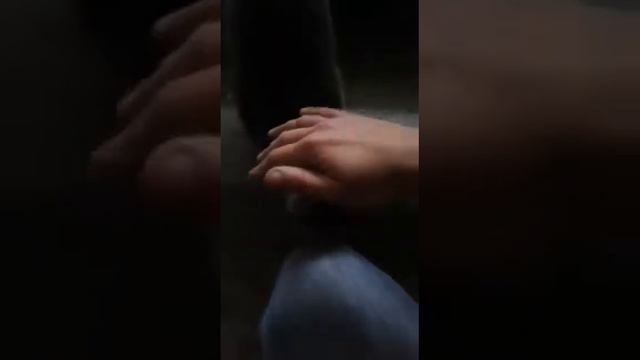 Для тех, кто всегда спешит на помощь! смотреть онлайн