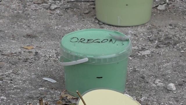 Возможность выбора дана! смотреть онлайн