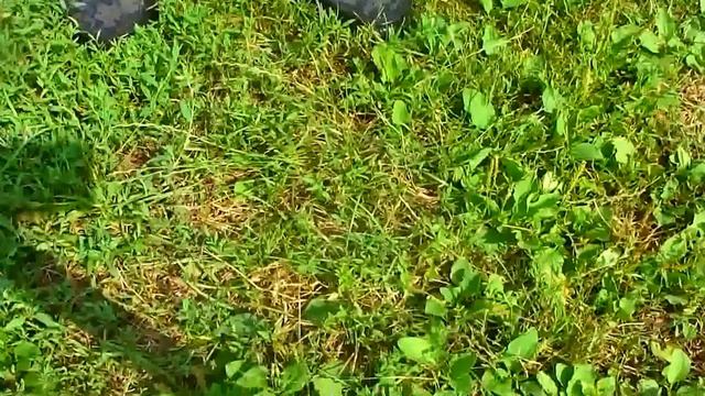 РЕАБИЛИТАЦИЯ ПОСЛЕ ИНСУЛЬТА в обуви от SAPATOS смотреть онлайн