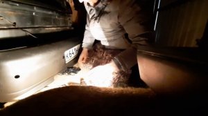 Как установить парктроник на ВАЗ. 2110, 2112, 2111... КОЛХОЗИМ)