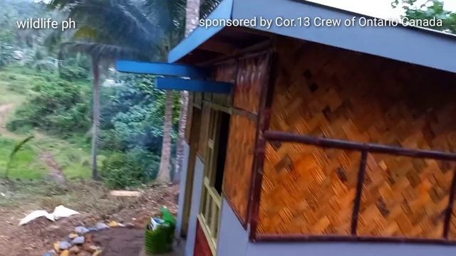 HOUSE GIFT, ang pag buhos ng emosiyon ng pamilyang aeta смотреть онлайн