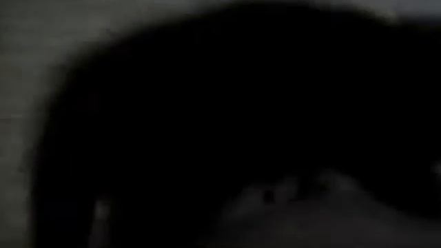 Самый милый подарок !!!! смотреть онлайн