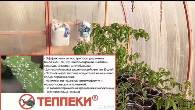 Легкое решение проблемы с белокрылкой Холодный апрель смотреть онлайн