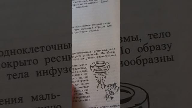 инфузория-туфельки одноклеточный организм живой корм для мальков смотреть онлайн