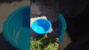 написял малыш в трусы)стирает сам