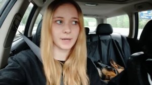 Как приучить собаку к поездкам на машине - Лайфхак