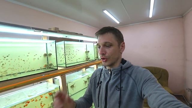 Вернулся с поиска коряг. Как буду их обрабатывать