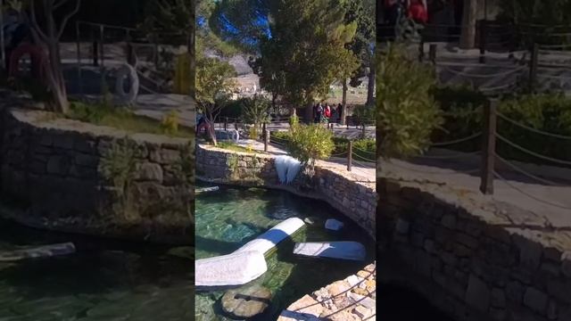 Бассейн Клеопатры в античном Иерополисе в Турции. Правда Клеопатры здесь никогда не было смотреть онлайн