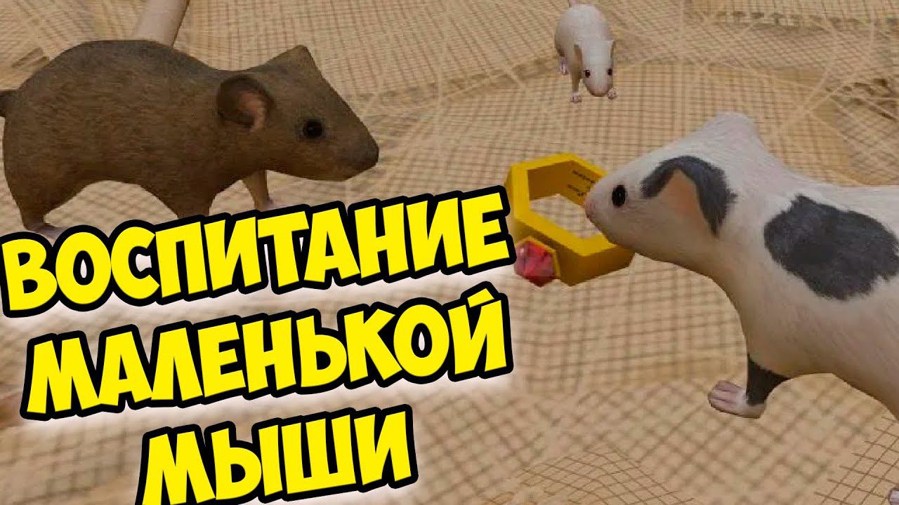 СИМУЛЯТОР МЫШИМышонок вырос Ухаживаю за питомцем смотреть онлайн
