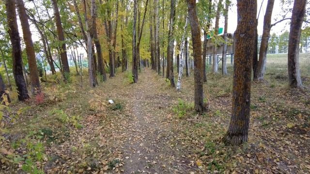 Сводка по "разводам"/Суббота и 2 млрд рублей /Ущерб людям .Красноярский край. смотреть онлайн