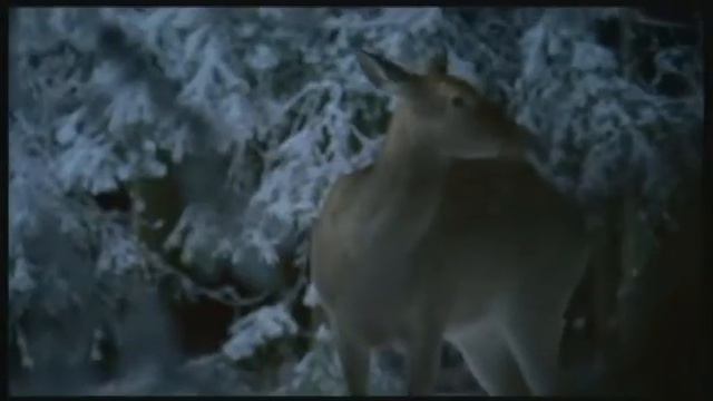 Дима Билан - "Я тебя помню" (Официальный клип, HQ) смотреть онлайн