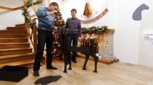 Мангал Олень инструкция по сборке