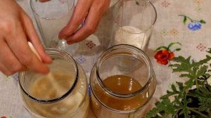 Хмелевая закваска или дрожжи из хмеля.