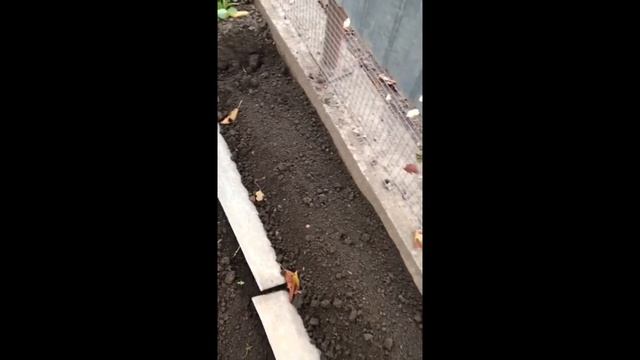 Строительные Новости