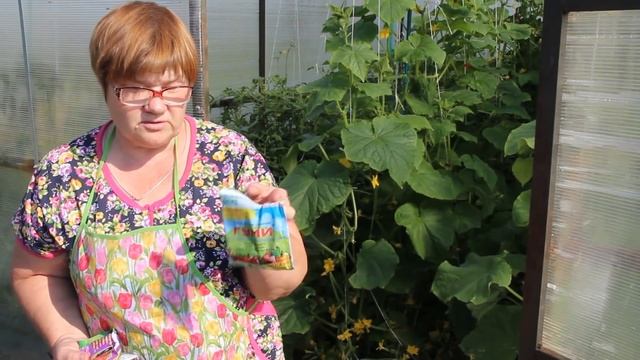 Как Увеличить Урожай Огурцов. Чем Подкормить Огурцы. смотреть онлайн