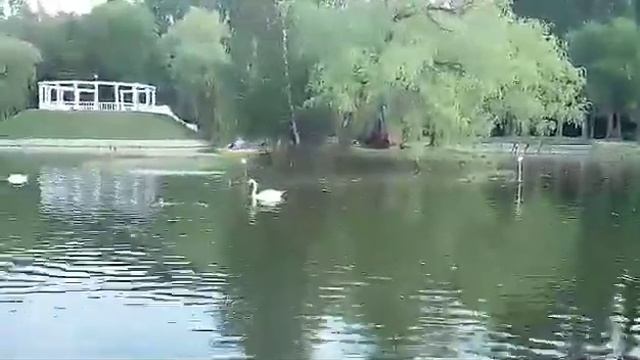 Парк в Кобрине смотреть онлайн