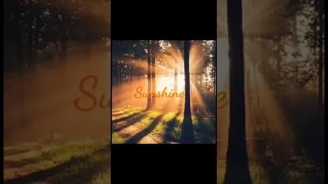 Sunshine - Kit Sunshine (Groovy Loops) смотреть онлайн