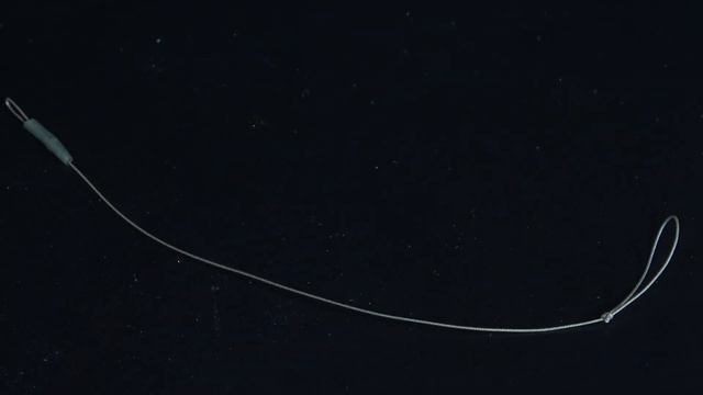How to tie the Multi Rig смотреть онлайн