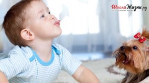 А вы Знаете Все Различия Между Мальчиками и Девочками?