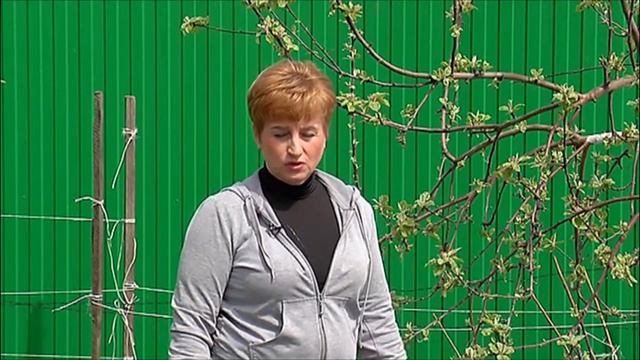 Дачники. Газон. Посадка и уход смотреть онлайн