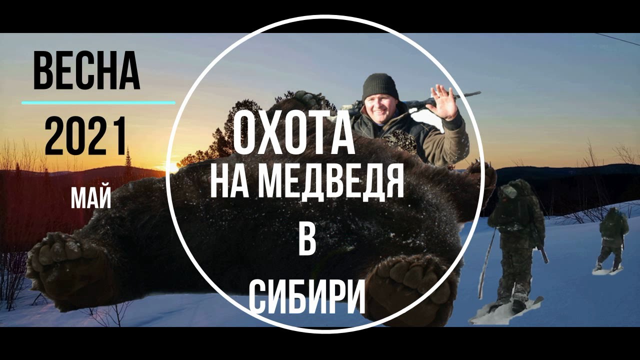 Охота на медведя май.mp4 смотреть онлайн