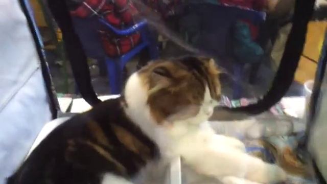 хайленд страйт смотреть онлайн