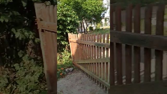 Обзор клумбы уже прошлого лета 2021 смотреть онлайн