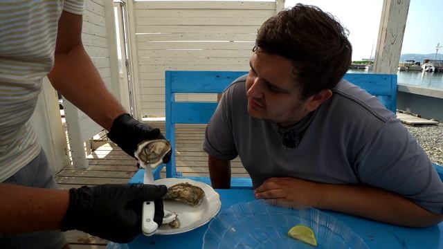 Устричная ферма и черноморские мидии. Большой Утриш смотреть онлайн