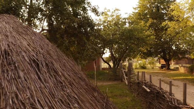 "Разлука" - Мария Артемова, 16 лет. Видео создал профессор РАМ им. Гнесиных В.Бурлако смотреть онлайн