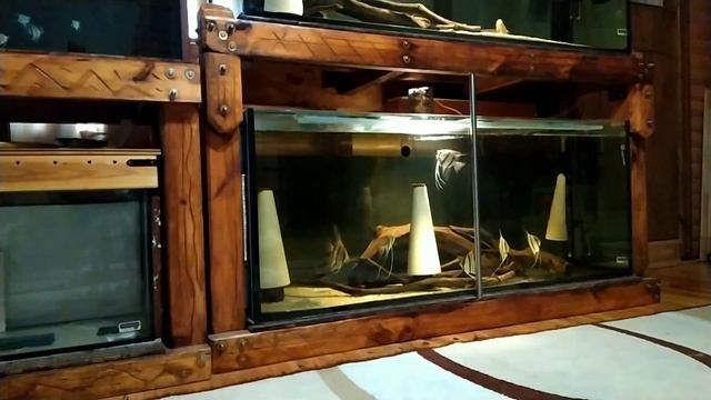 Как транспортировать аквариумную рыбу. Мой опыт. смотреть онлайн