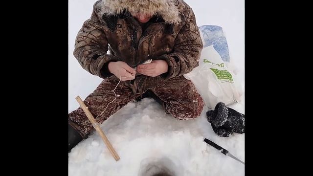 Рыбалка на щуку в -35, наледь и снегоход кто победит ))) смотреть онлайн
