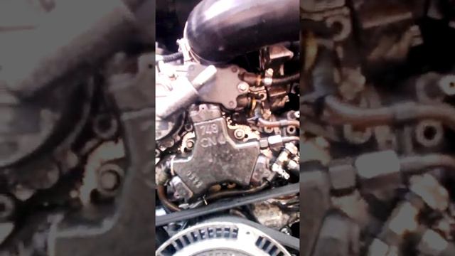 мерседес спринтер 2.2 цди ом 611 двигатель вид спереди без морды