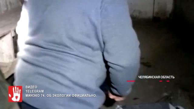 Однокрылого лебедя, который обосновался на озере возле деревни Кирса, отправили на реабилитацию смотреть онлайн