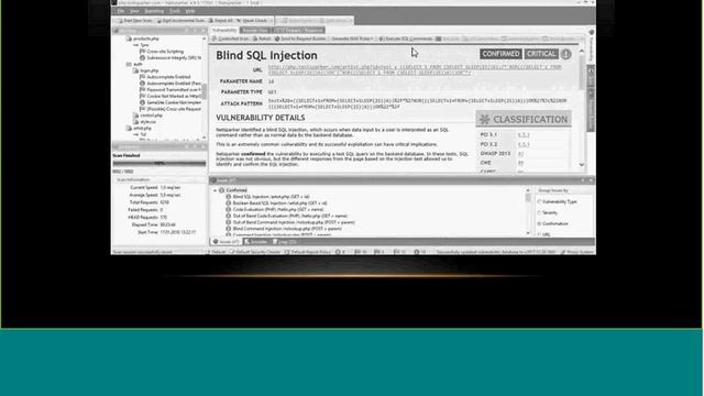 Netsparker - веб-сканер уязвимостей. смотреть онлайн