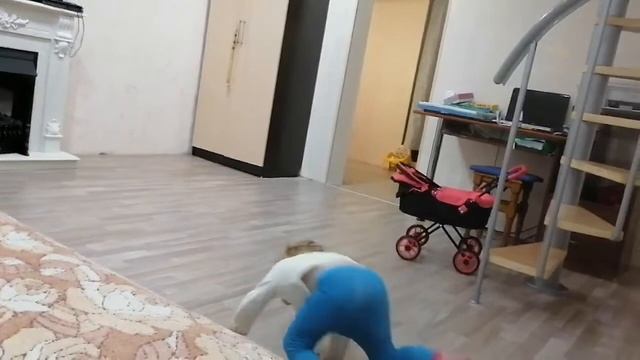 танец с элементами гимнастики смотреть онлайн