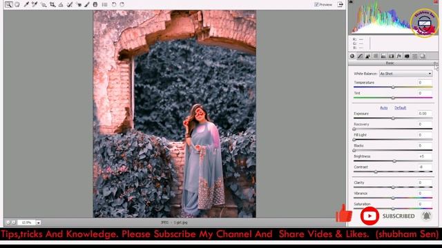 500+Camera Raw Presets | Wedding & Cinematic | Download & Install 2022 | Photoshop Filter Download смотреть онлайн