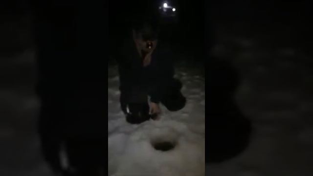 Фора1 смотреть онлайн